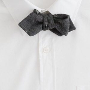 Read more about the article Guide: Bow Tie
